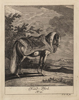 KG 01078
          <br/>
          Entwurf einiger Pferde. Sechster Theil. (18 bladen)
          <br/>
          <em>Ridinger, Johann Elias (1698-1767)</em>